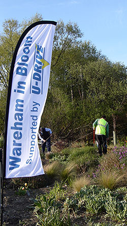 Wareham in Bloom supported by U-Drive